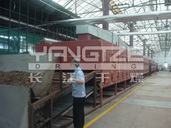 DWC Dehydrated Vegetables Belt Dryer